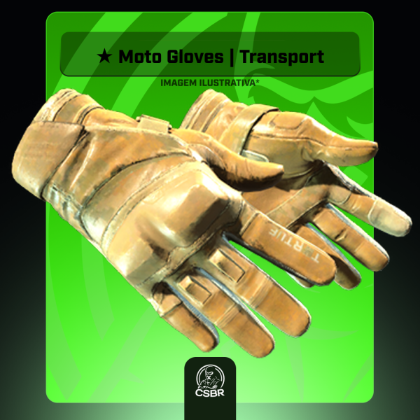  — 0110 ★ Moto Gloves | Transport (Field-Tested)