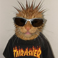 — 3007 Street Soldier | Phoenix ganhador do prêmio — 3007 Street Soldier | Phoenix